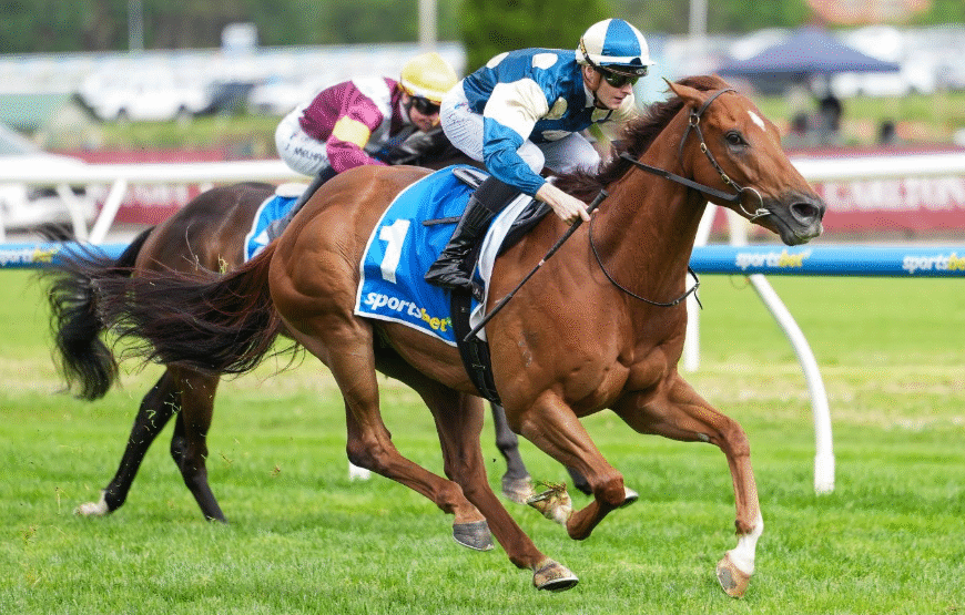 How Hydration Shapes Performance