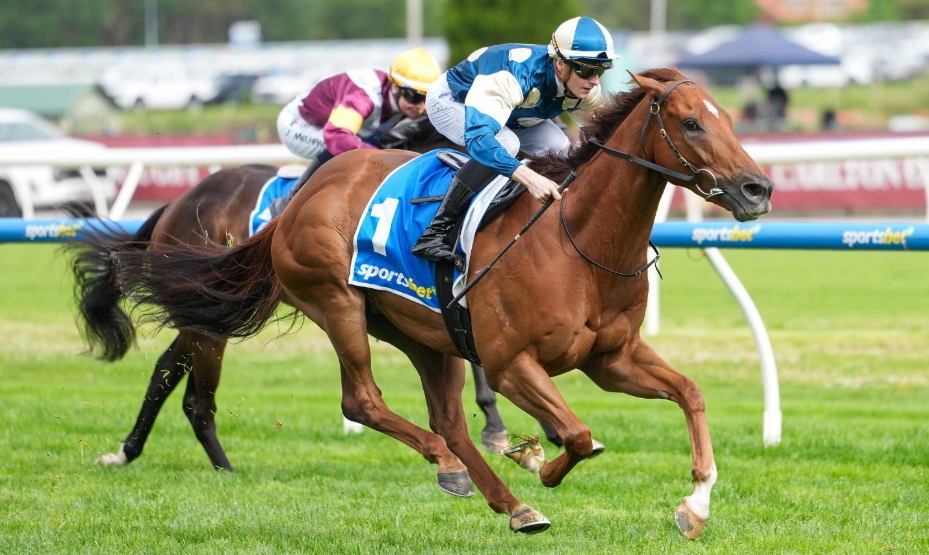 How Hydration Shapes Performance