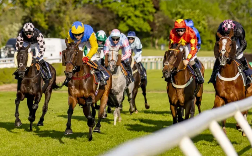 How Muscle Fibers Determine Racing Style