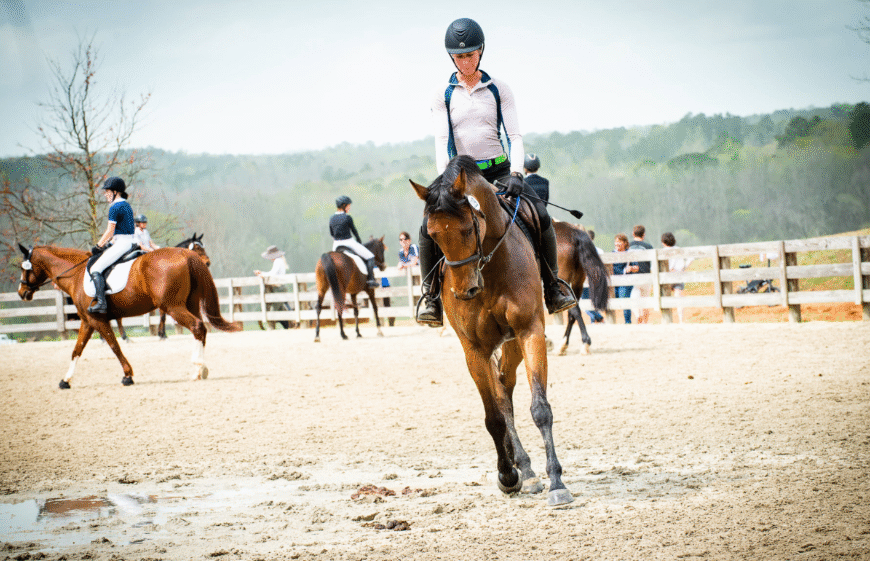 How Horses Warm Up for Races