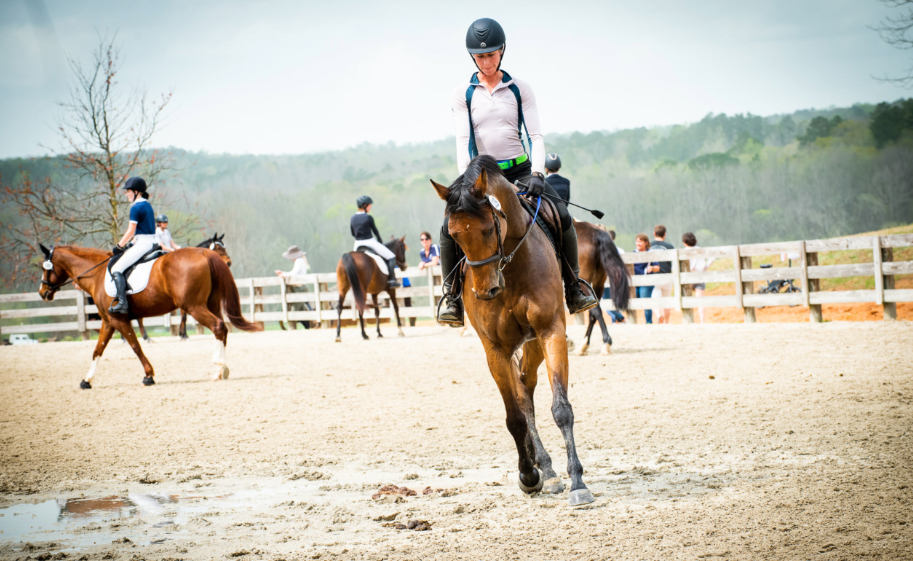 How Horses Warm Up for Races