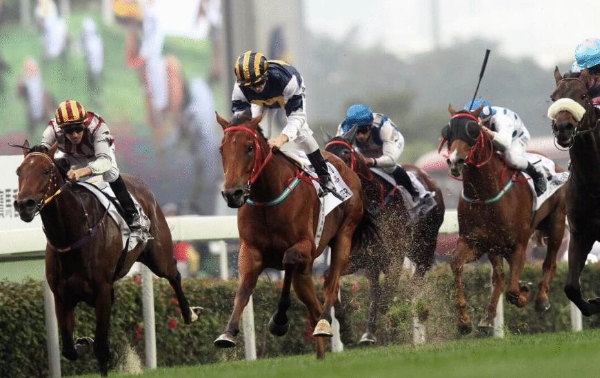 How Horses Understand Pace Without Words