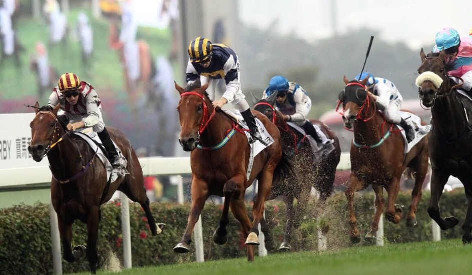 How Horses Understand Pace Without Words